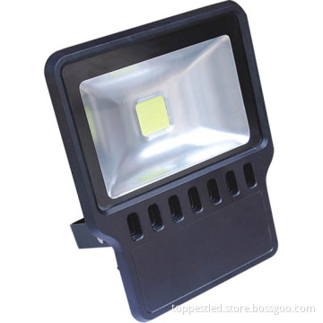 LED Flood Light (TP-H11-100W01)